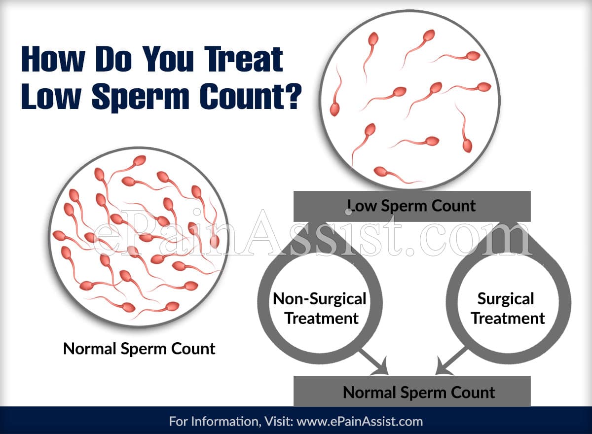 Sperm count of the daily ejaculator
