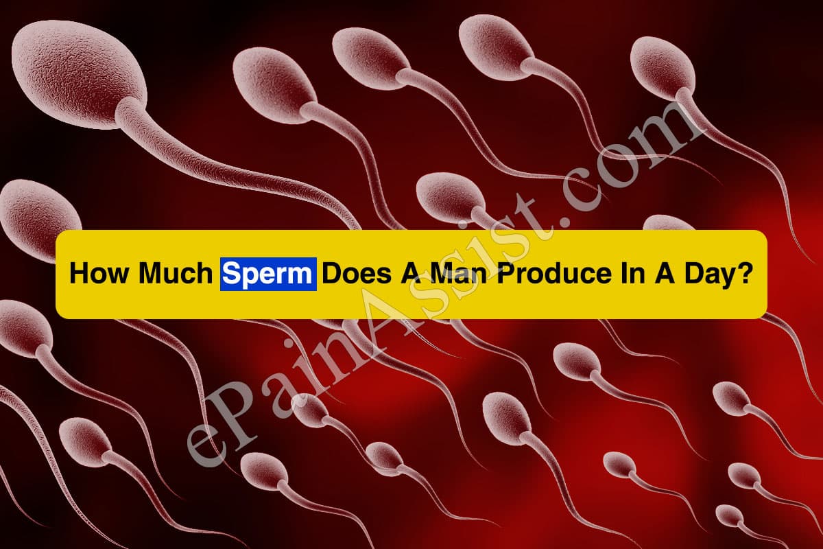 Every sperm is sacred lyric