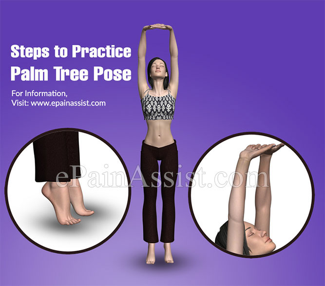 Tadasana Yoga | Palm Tree Pose | Steps | Benefits | Yogic Fitness | Easy yoga  poses, Best yoga videos, Tree pose