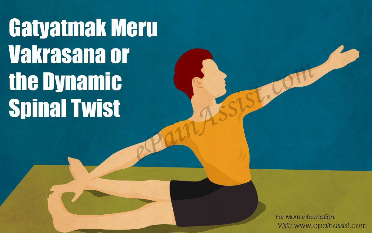 Asana - all about yoga