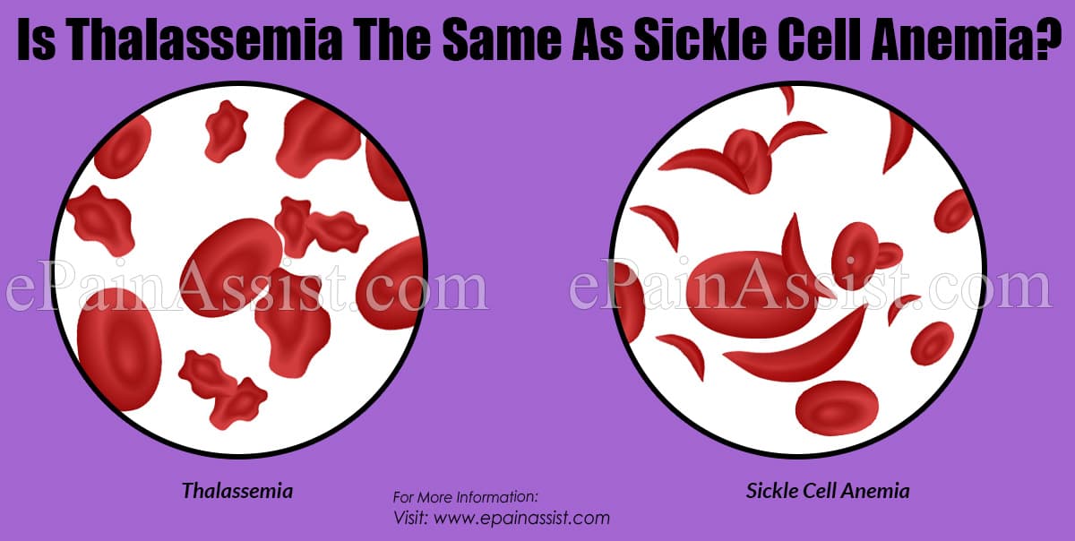 Thalassemia Blood Cell Shape
