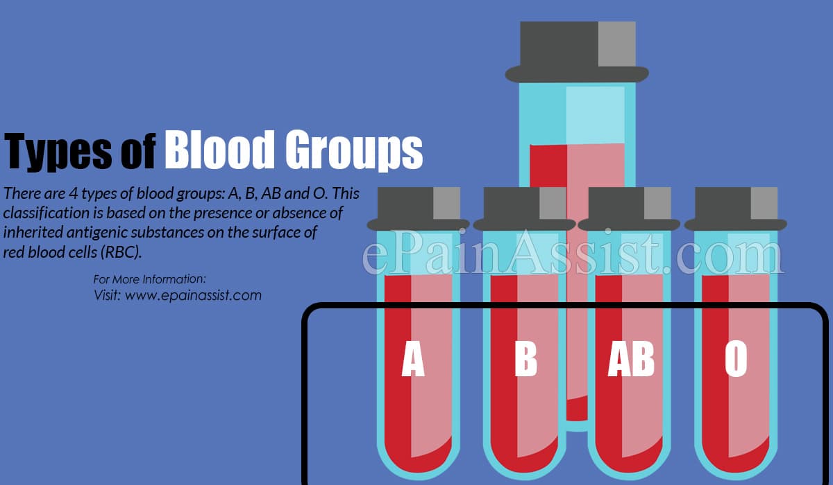 essay on blood group