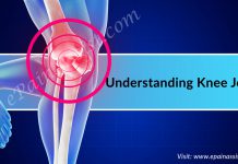 Understanding Knee Joint, Its Structure, 6 Causes of Knee Joint Pain