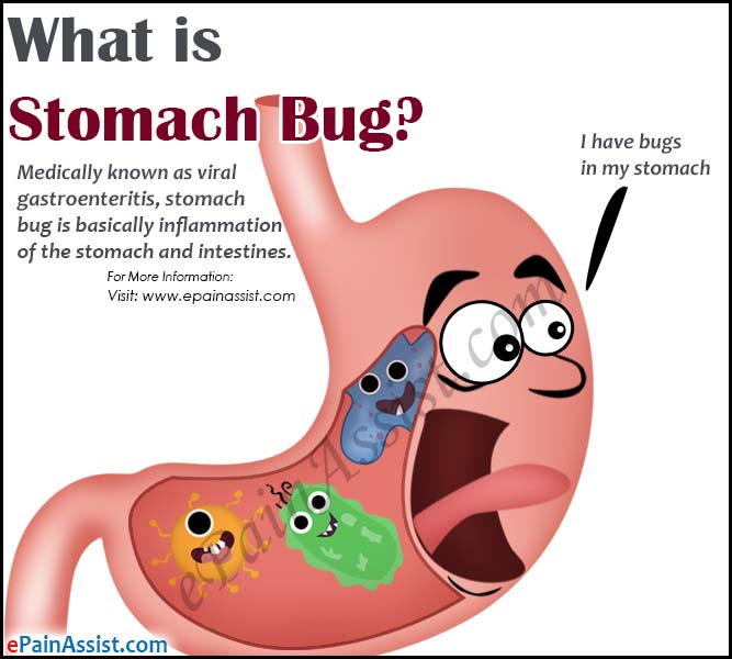 What is a Stomach Bug & How Long Does it Last?