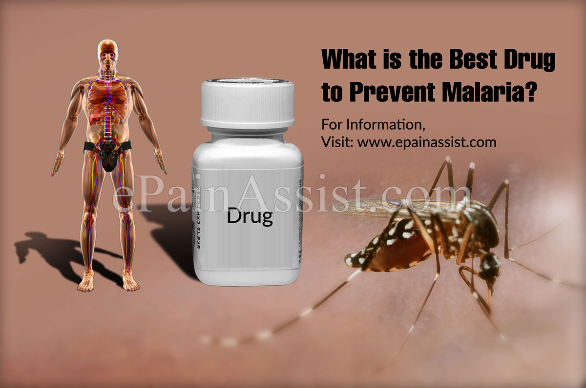 What is the Best Drug To Prevent Malaria?