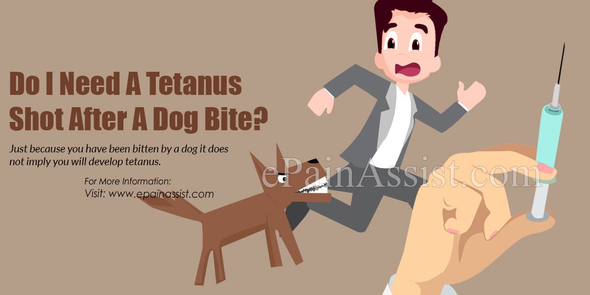 should i get a tetanus shot after a dog bite