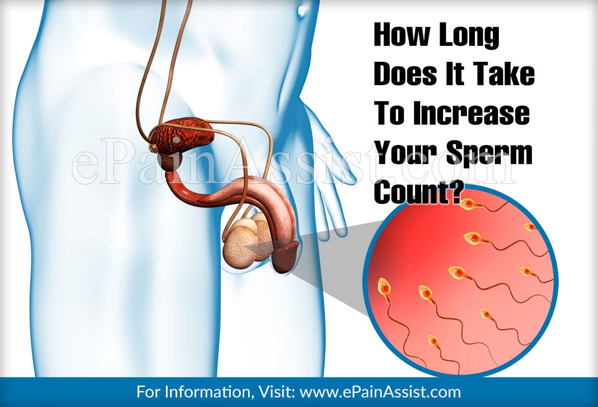 How Long Does It Take To Increase Your Sperm Count 