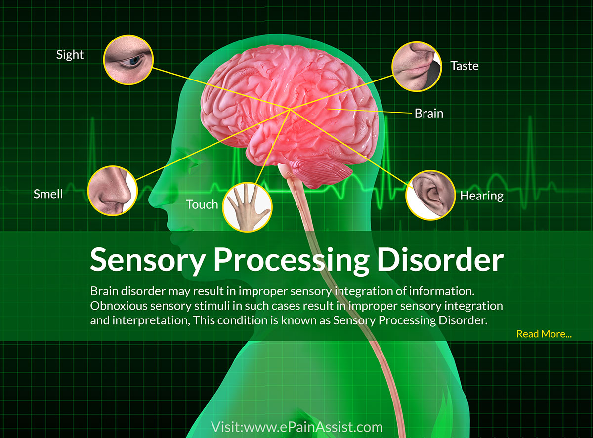 sensory perception definition