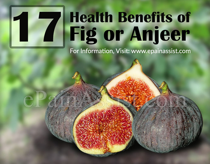 Health Benefits Of Fig Or Anjeer Its Side Effects