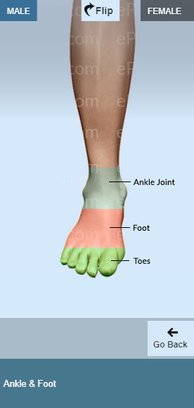 Foot Symptom Chart