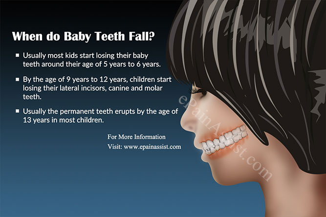 When do Baby Teeth Fall?